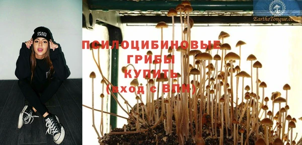 ПСИЛОЦИБИНОВЫЕ ГРИБЫ Алзамай