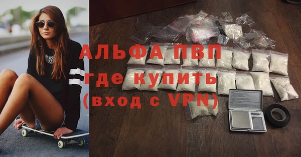 гидра Алексин