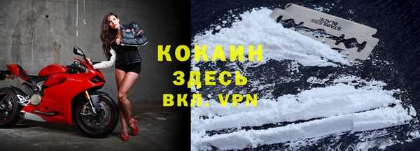 гидра Алексин